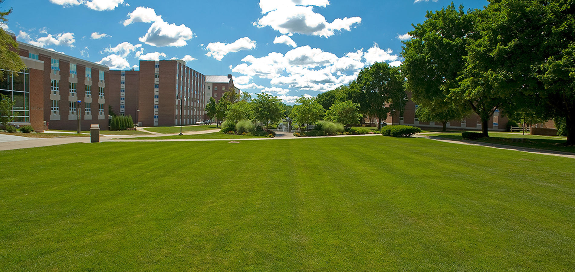 The open area called the DMZ